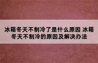 冰箱冬天不制冷了是什么原因 冰箱冬天不制冷的原因及解决办法